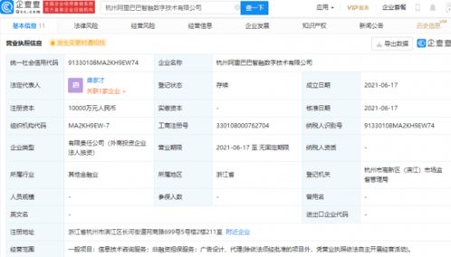 阿里巴巴成立智融数字技术公司，注册资本1亿元加码信息技术咨询服务