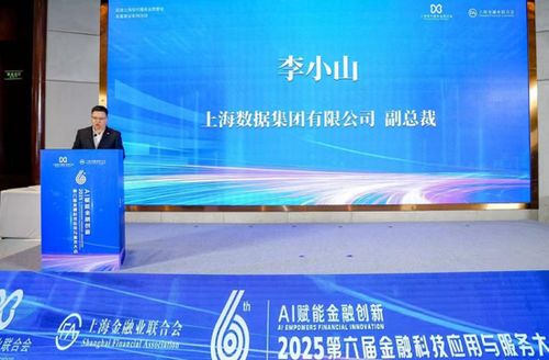 AI赋能金融创新 2025第六届金融科技应用与服务大会聚焦信息技术咨询服务新范式